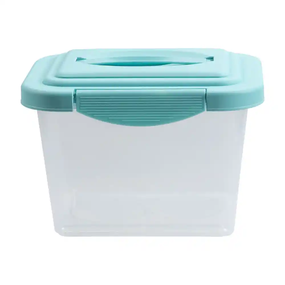 Caja Organiza Transp Tapa Color