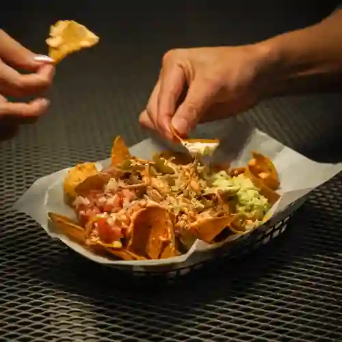 Ignacios