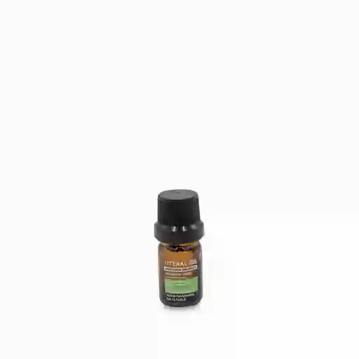 Aceite Esencial Para Difusor Limonaria 5 Ambiente Gourmet