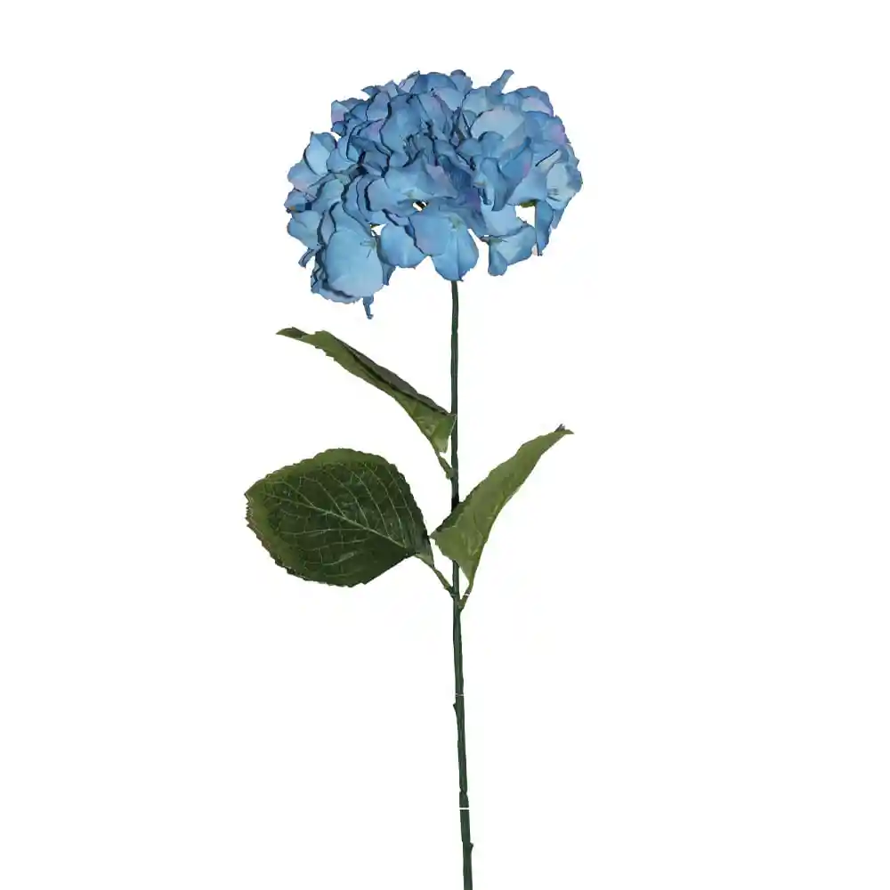 Hortensia Gio Home Grande Azul
