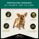 Comida para Perros cachorros razas pequeñas Purina Pro Plan x 7,5 kg