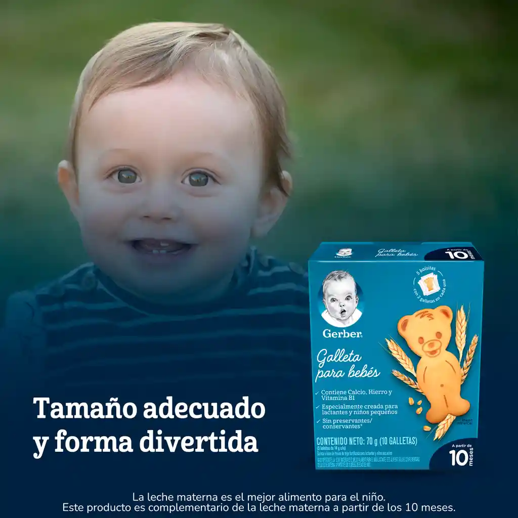 Galletas para bebés GERBER x 70g