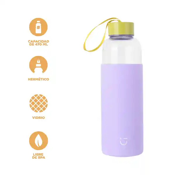 Vaso de Vidrio Serie Púrpura Miniso