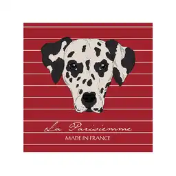 Krea Canva Animales 40 x 40 cm Dálmata