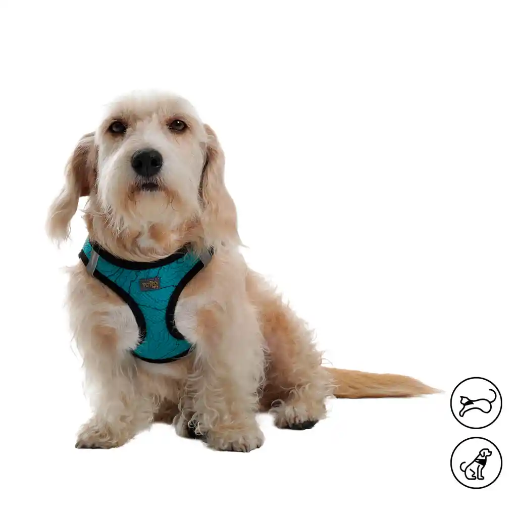 Arnés Pechera Para Perro-gato Toby S Verde
