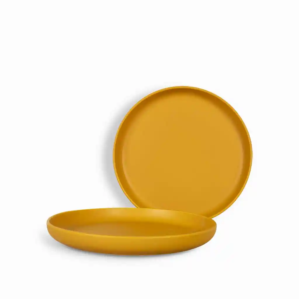 Plato Principal Puebla 27cm Setx2