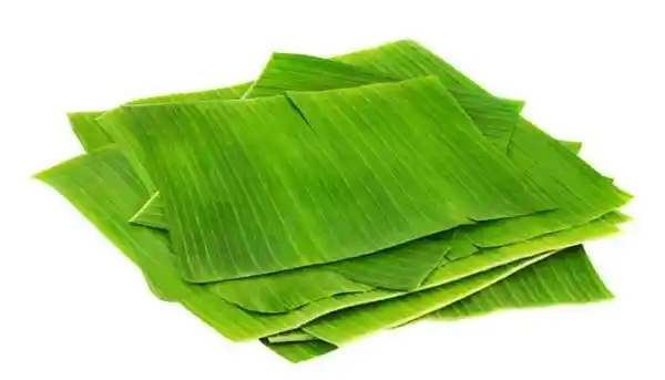 Hoja Para Tamal