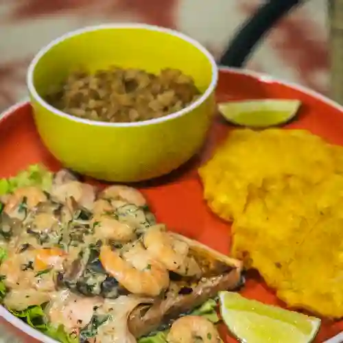 Filete Tilapia en Salsa de Camarones