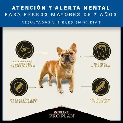 Pro Plan Alimento Perro Adultos + 7 Años Razas Pequeñas