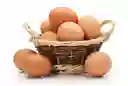 Santa Reyes Huevos de Gallina Feliz