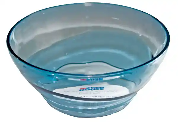 Everhouse Bowl Plástico 650 mL