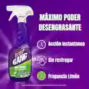Easy Off Bang Quitagrasa 900 mL + Quitagrasa 500 mL