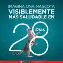 Comida para Gatitos Pollo y Carne Purina One x 500gr