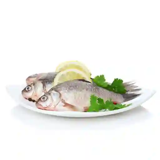 Pescado Bocachico
