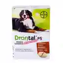 Drontal Antiparasitario Perros Grandes 