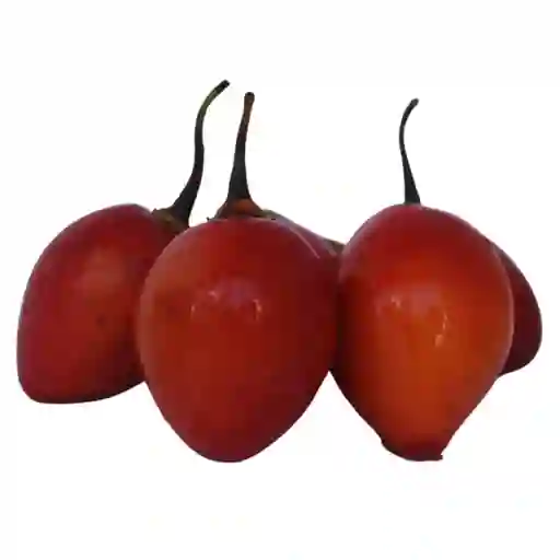 Tomate de Árbol Grueso