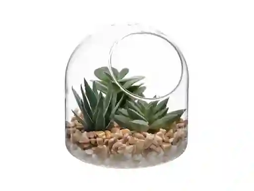 Maceta Cactus Vidrio Canasta Casaideas