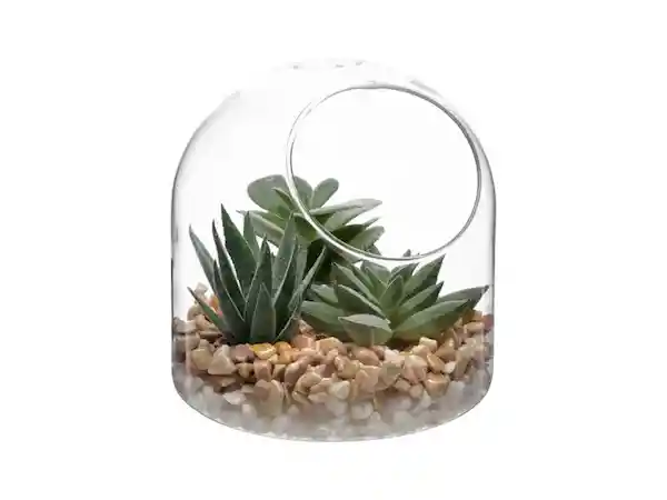 Maceta Cactus Vidrio Canasta Casaideas