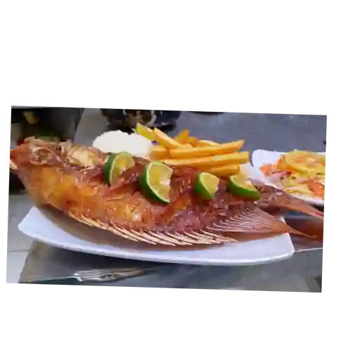 Mojarra