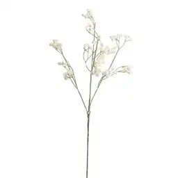 Estrella Blanca Gio Home