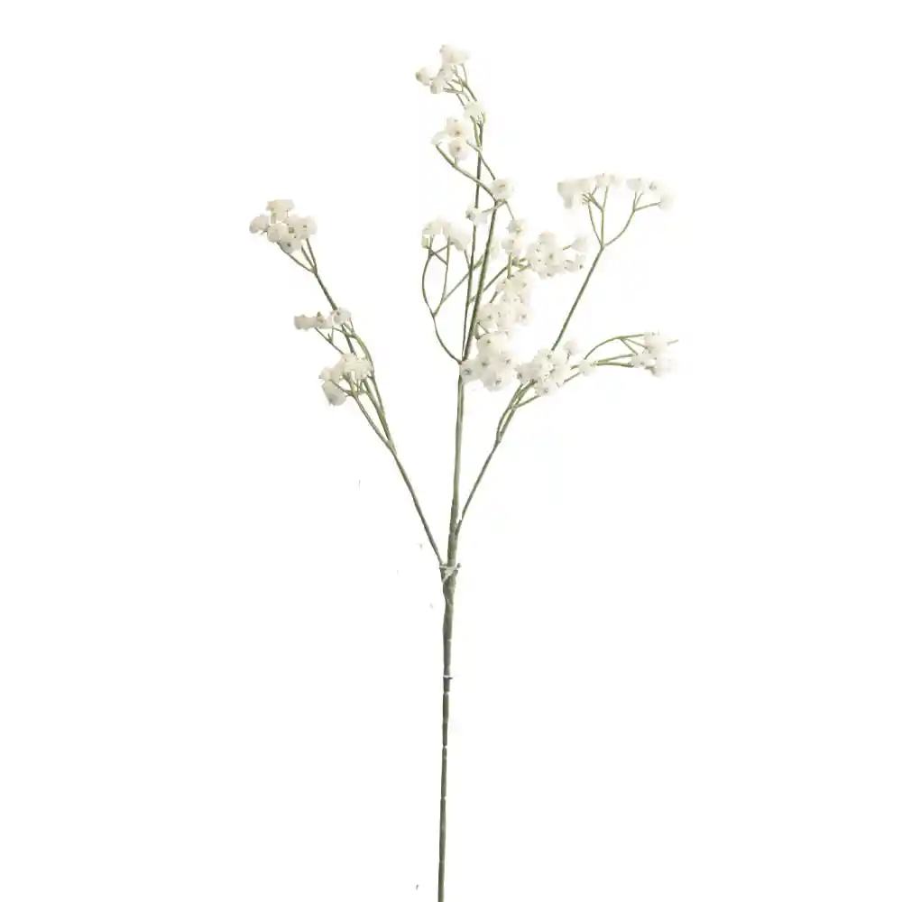 Estrella Blanca Gio Home