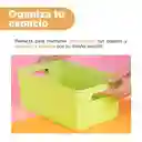 Organizador de Plástico Verde 25.5 cm L Miniso