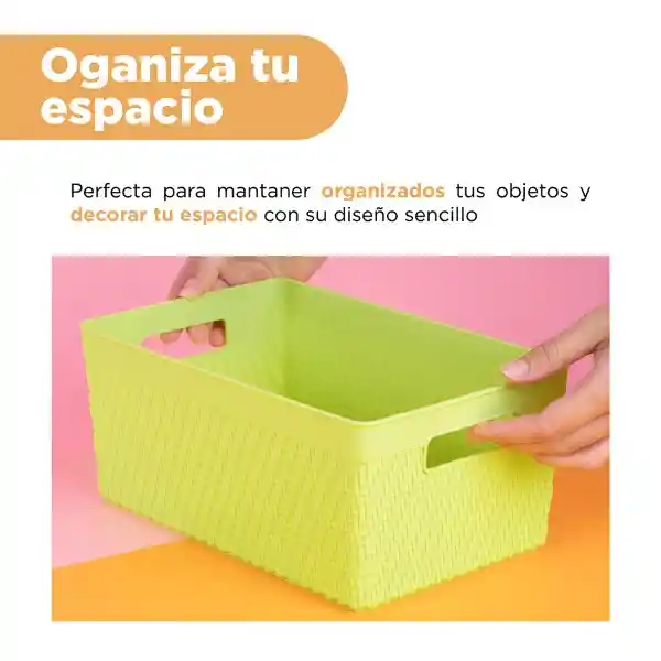 Organizador de Plástico Verde 25.5 cm L Miniso