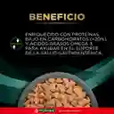 Comida para gato Purina Pro Plan Veterinary Diets EN Dietas Gastroentérico x 1,5kg