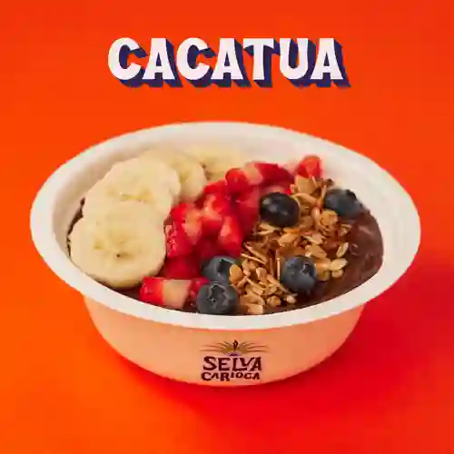 Bowl Cacatua
