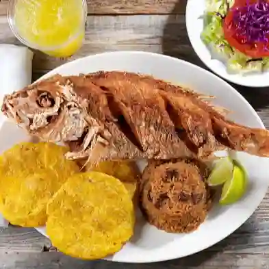 Pargo Rojo Frito