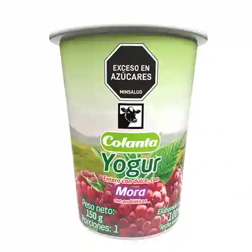 Colanta Yogur Entero Mora Vaso