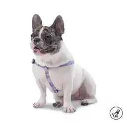 Arnés Para Perro Brunno Xl Morado