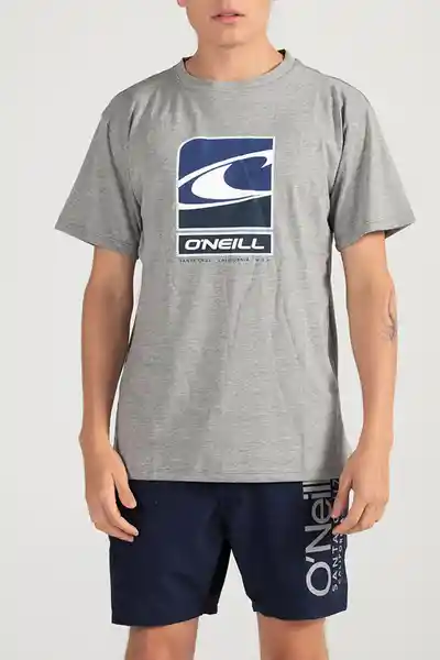 ONeill Camiseta Classic Flag Wave Masculina Gris Oscuro Talla L