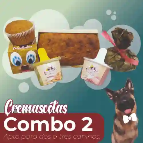 Combo 2