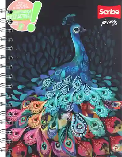 Scribe Cuadernos