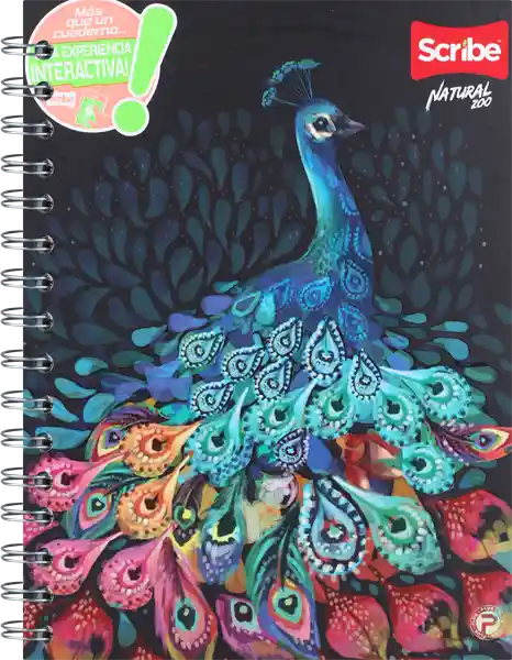 Scribe Cuadernos