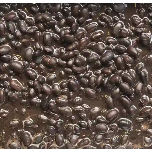 Frijol Negro