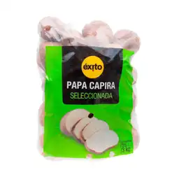 Éxito Papa Capira