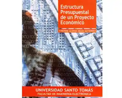 Estructura Presupuestal Proyecto Económico - Tyronne Mejía