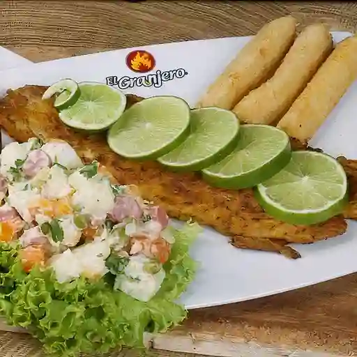 Filete de Róbalo