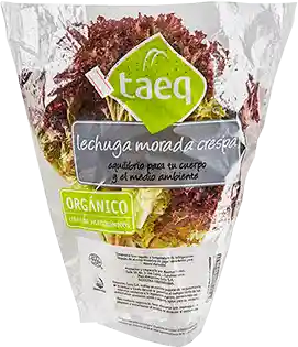 Taeq Lechuga Morada Crespa