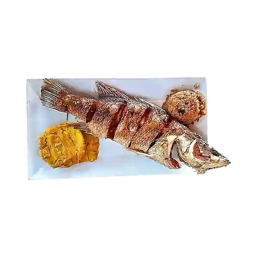 Robalo Frito