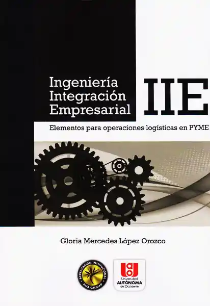 Ingenieria Integración Empresarial