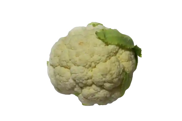 Coliflor