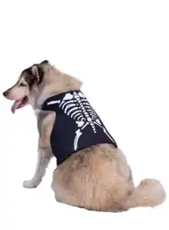 Disfraz Mascota Esqueleto Surtido Talla L-XL