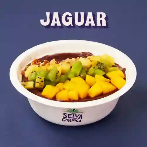 Bowl Jaguar