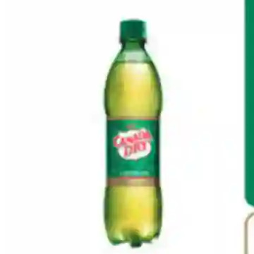 Ginger Ale 300 ml