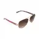 Gafas Para Mujer Color Oro Rosa X17023 Steve Madden