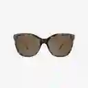 Knockaround Gafas Deja Views Tortoise