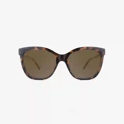 Knockaround Gafas Deja Views Tortoise